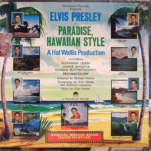 paradise_hawaiian_style_mono_back